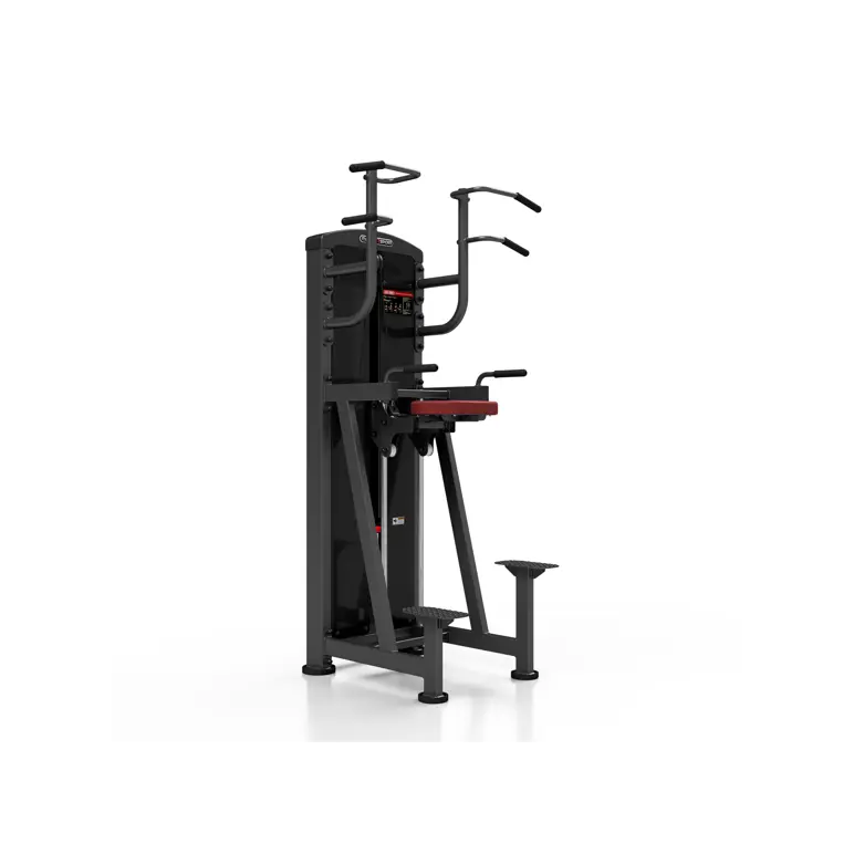 Station professionnelle Traction et Dips assistés avec colonne de poids 100 kg