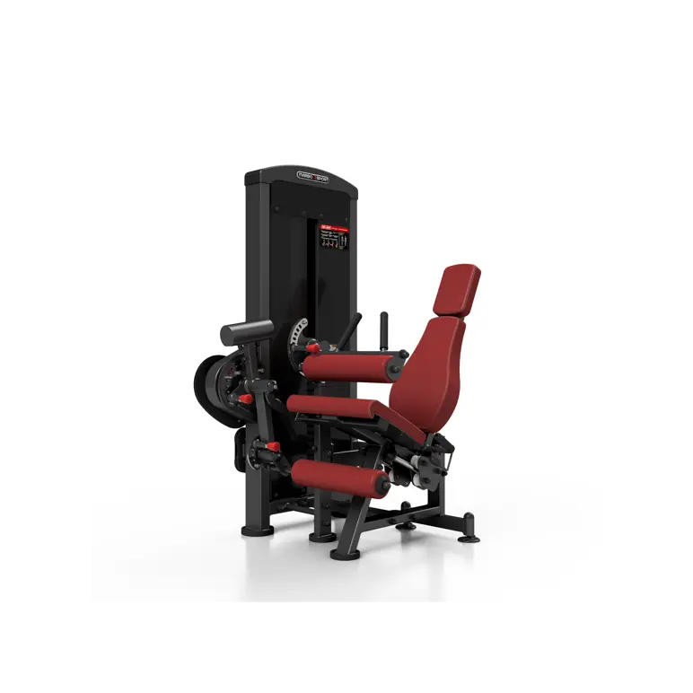 Station professionnelle complète Leg extension et Leg curl