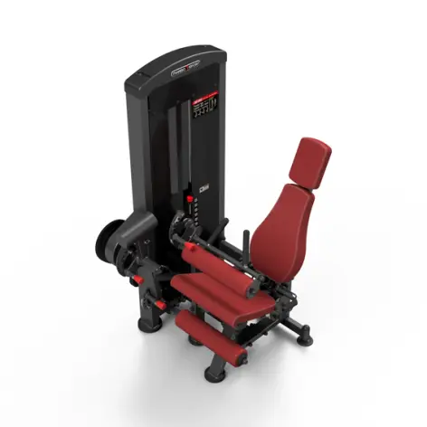 Station professionnelle complète Leg extension et Leg curl - vue 2