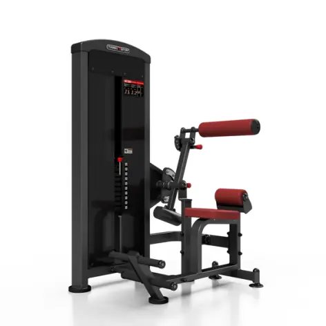 Machine pro 2 en 1 crunch abdominal et back extension