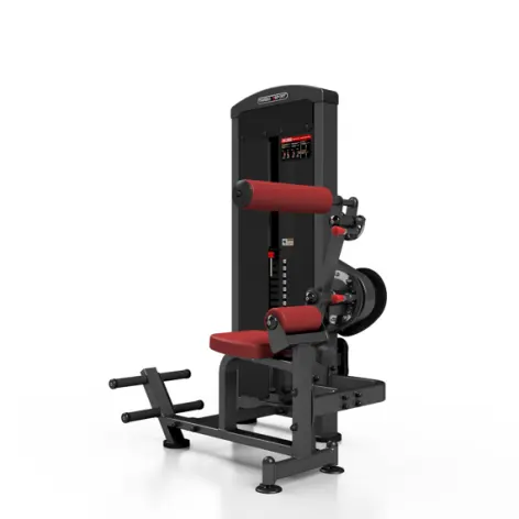 Machine pro 2 en 1 crunch abdominal et back extension - vue 5