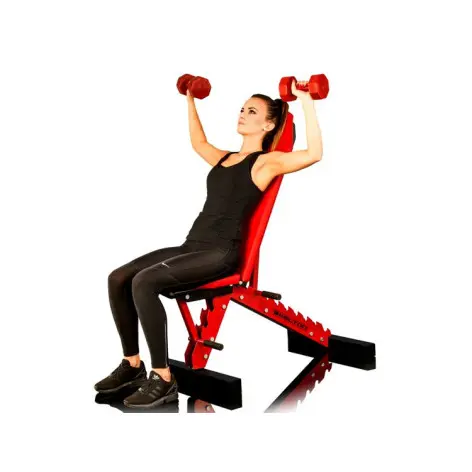 Banc de musculation ultra-robuste de conception professionnelle - vue 5