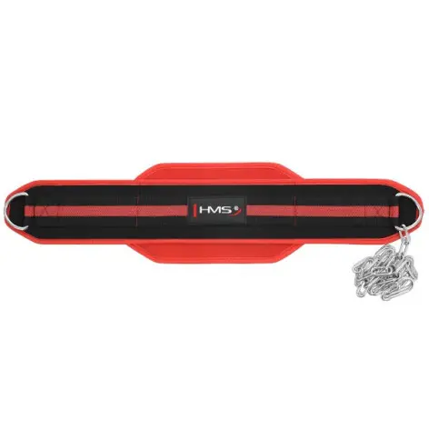 Ceinture de lest pour dips et tractions en homegym de musculation - vue 2