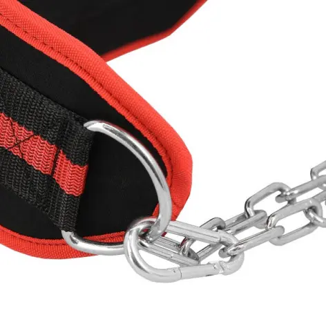 Ceinture de lest pour dips et tractions en homegym de musculation - vue 4