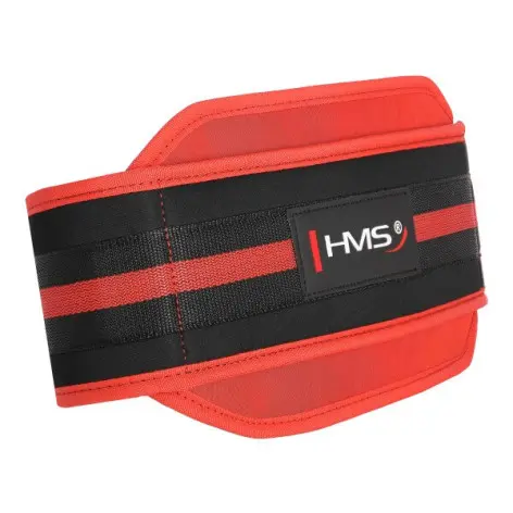 Ceinture de lest pour dips et tractions en homegym de musculation - vue 5