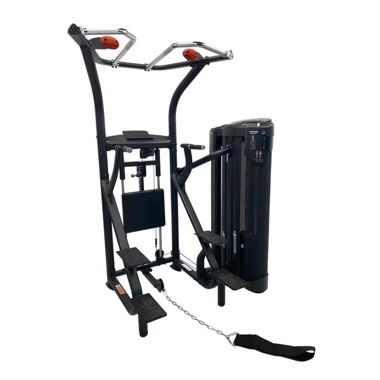 Station d'entraînement pour exercices de musculation - Chaise romaine traction et Dips