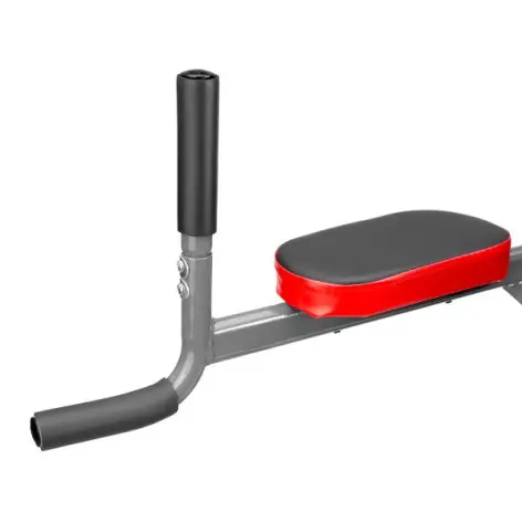 Station chaise romaine avec postes d'entraînement multiples - vue 6