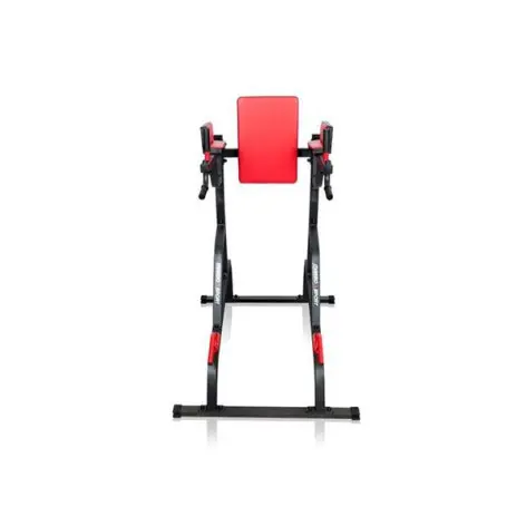 Chaise romaine pour musculation des triceps et des pectoraux - vue 4