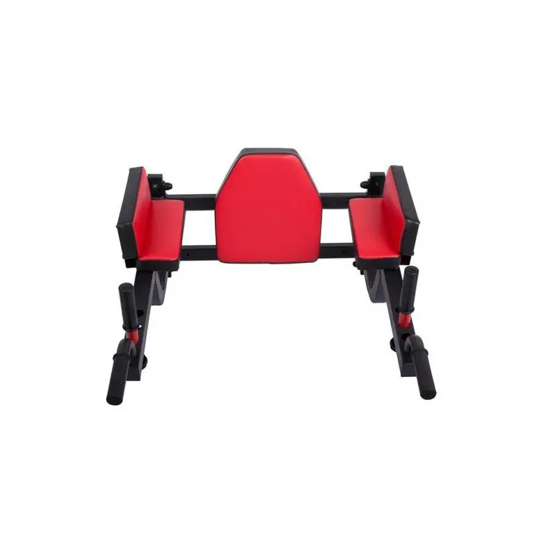 station dips et abodminaux à fixation murale pour séances d'exercices à capacité de charge 250 kg