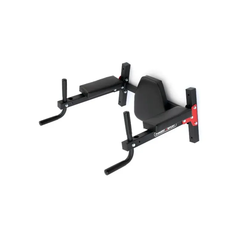 Station dips et abdominaux à fixation murale pour séances d'exercices à capacité de charge 250 kg