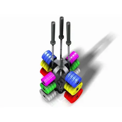 Rack de stockage pour home gym ou salle de sport publique - Barres et disques de poids avec capacité de charge 800 kg - vue 9