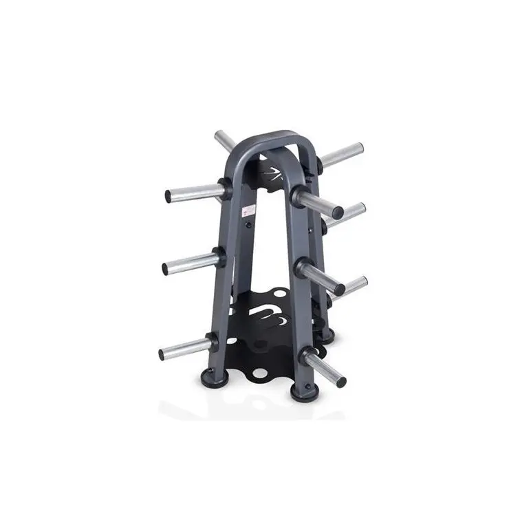 Rack de stockage pour home gym ou salle de sport publique - Barres et disques de poids avec capacité de charge 800 kg