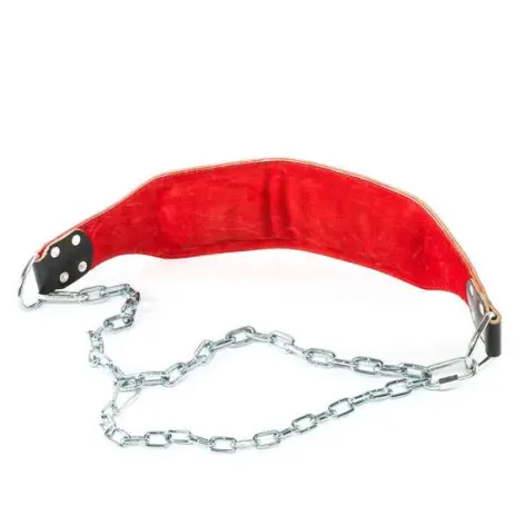 Ceinture lestée en cuir rembourrée capacité de charge 80 kg - vue 2