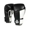 Gants de boxe professionnels pour sports de combat.