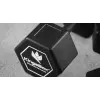 Haltères hexagonaux de musculation - 2,5 à 40 kg de marque Kingsbox - vue 3
