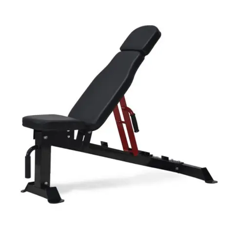 Banc de musculation avec dossier et assise ajustable pour séances de crosstraining
