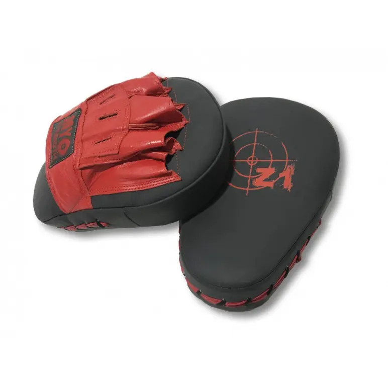 Gants pattes d'ours pro pour training boxe avec sparring