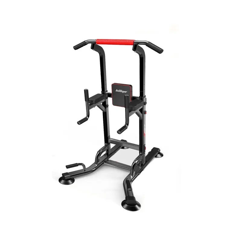 Station chaise romaine haut de gamme pour training polyvalent