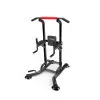Station chaise romaine haut de gamme pour training polyvalent