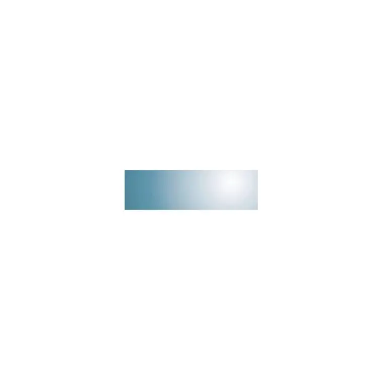 Miroir 30 x 100 cm pour salle de sport