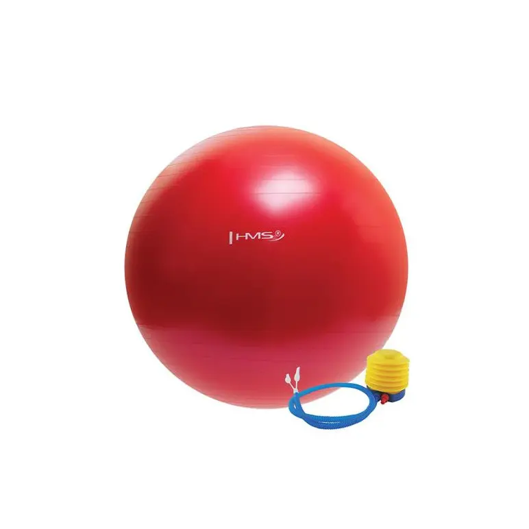 Ballons d'exercices de fitness avec surface antidérapante.
