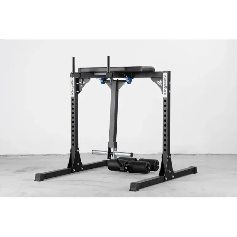 Reverse curl musculation bas du corps