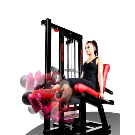 Machine professionnelle de musculation des cuisses - Made in Europe - vue 3