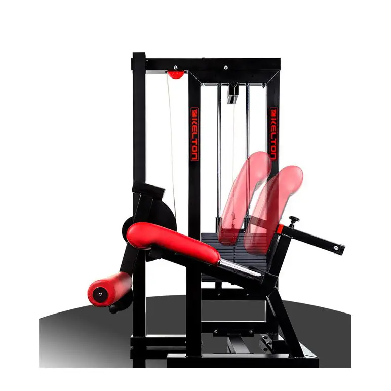 Machine professionnelle de musculation des cuisses - Made in Europe