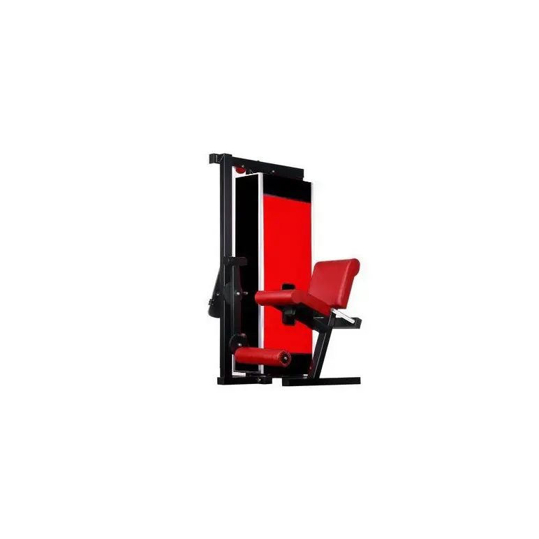 Machine à quadriceps et cuisse de qualité professionnelle