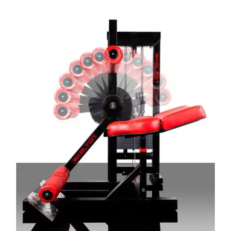 Machine de musculation à abdominaux pour centre de musculation - vue 8