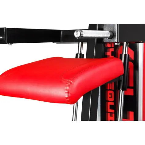 Station à dips assisté pour professionnels - vue 3