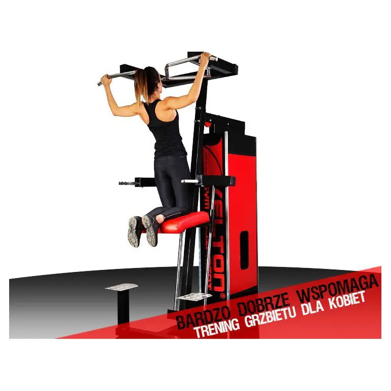 Station à dips assisté pour professionnels