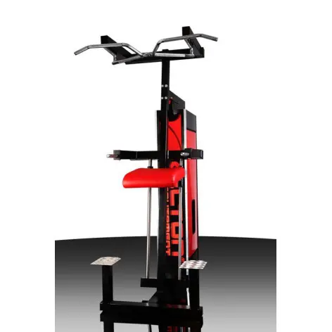 Station à dips assisté pour professionnels - vue 2