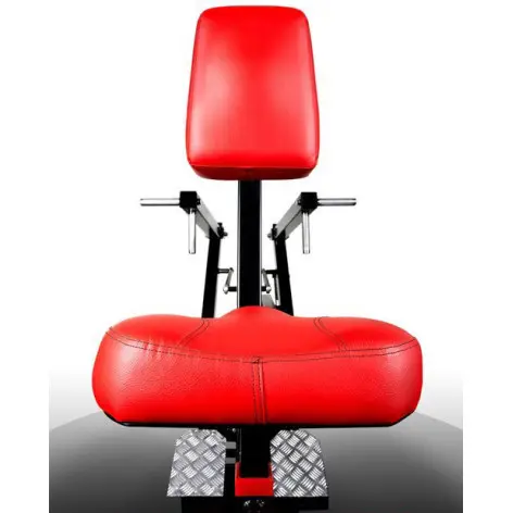 Machine pour musculation du dos en salle de sport - vue 2