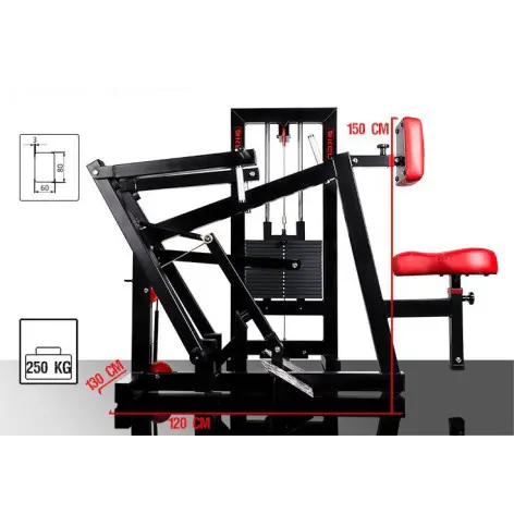 Machine pour musculation du dos en salle de sport - vue 5