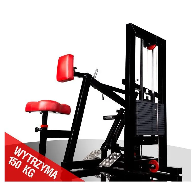 Machine pour musculation du dos en salle de sport