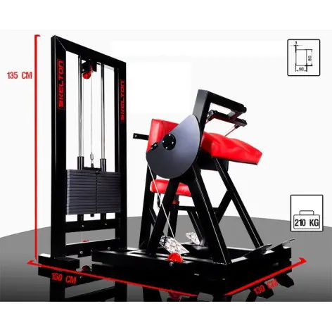 Station de musculation pour les biceps et triceps en salle de sport commerciale - vue 8