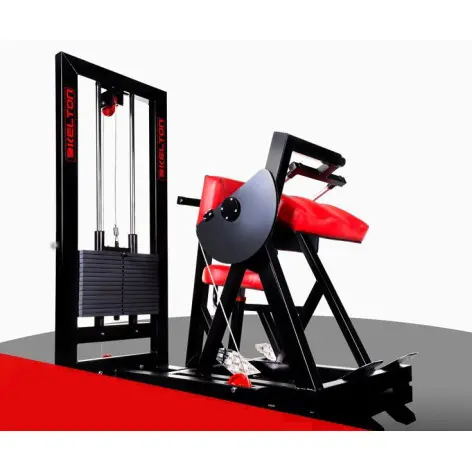 Station de musculation pour les biceps et triceps en salle de sport commerciale - vue 2