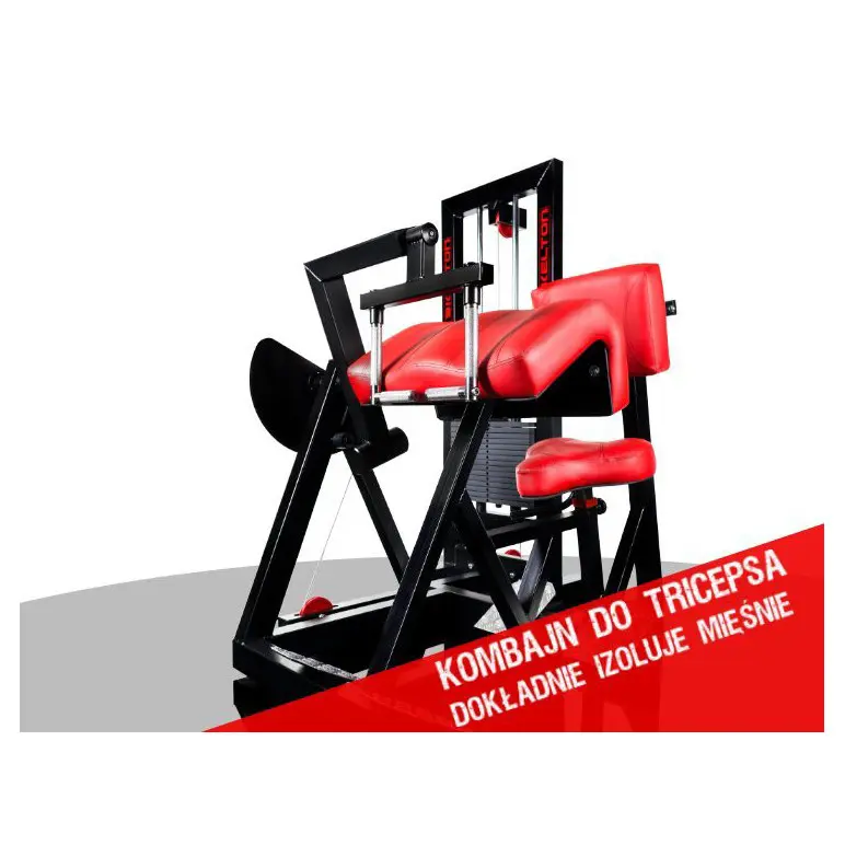 Station de musculation pour les biceps et triceps en salle de sport commerciale