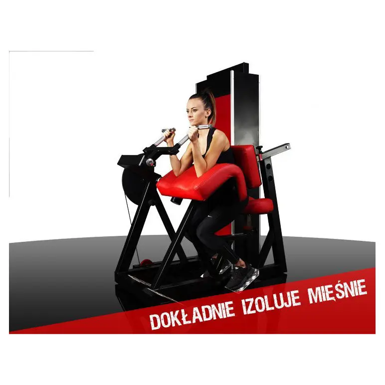 Station curl à biceps pour les professionnels de la musculation