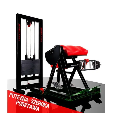 Station curl à biceps ergonomique pour salles pro - vue 2