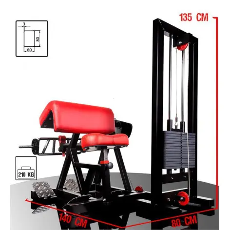 Station curl à biceps ergonomique pour salles pro - vue 6