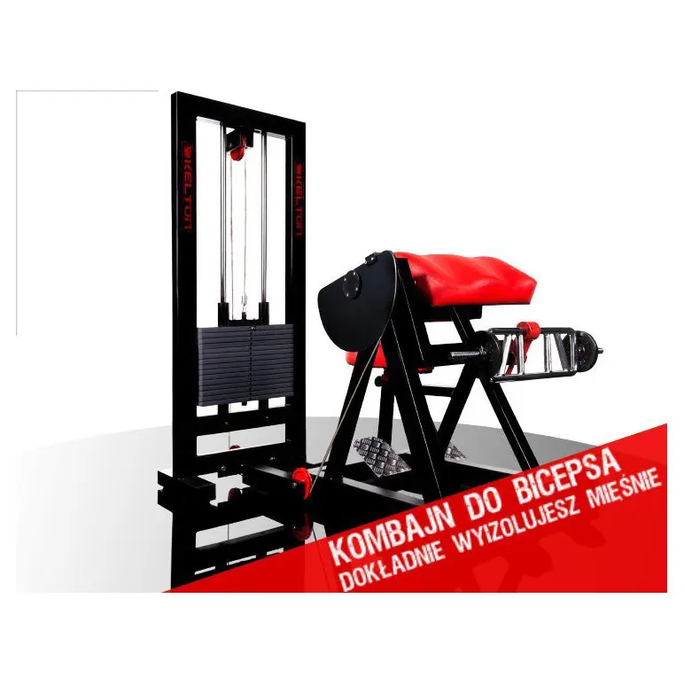 Station curl à biceps ergonomique pour salles pro