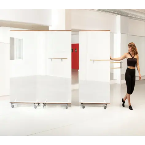 Miroir sur roulette grandes dimensions pour professionnels