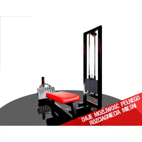 Station de musculation pour le dos de qualité professionnelle - vue 3
