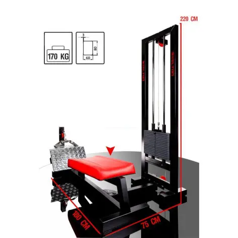 Station de musculation pour le dos de qualité professionnelle - vue 7