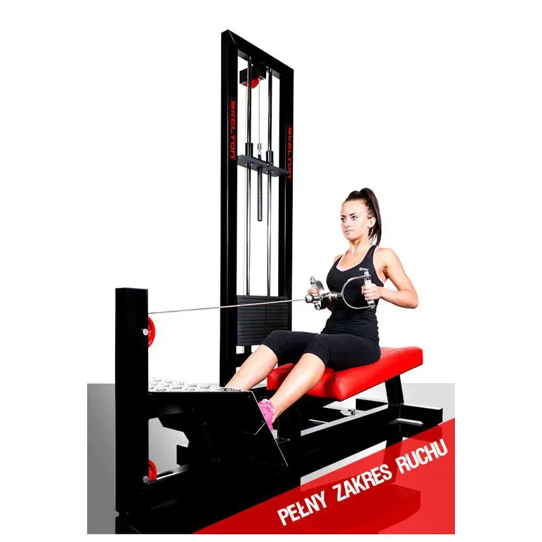 Station de musculation pour le dos de qualité professionnelle