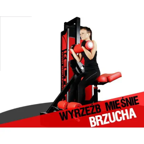 Station à abdominaux pour structure sportive professionnelle - vue 2