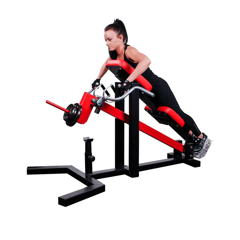 Station rowing dorsaux allongée pour salle de sport professionnelle