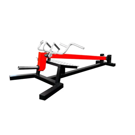 Station de musculation rowing dorsaux haute qualité pour les professionnels - vue 2